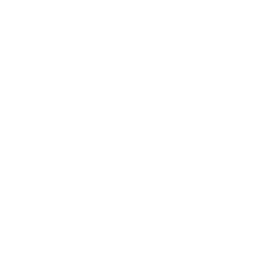 S and S Co., Ltd.